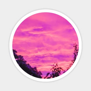 Yesterday's Pink Sky Photograph Magnet